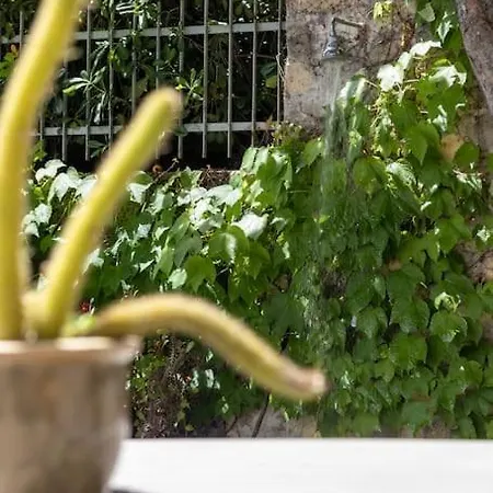 Il Giardino Tra Cielo E Mare *